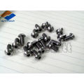 high strength GR5 titanium disc rotor bolt M5*10 Torx head